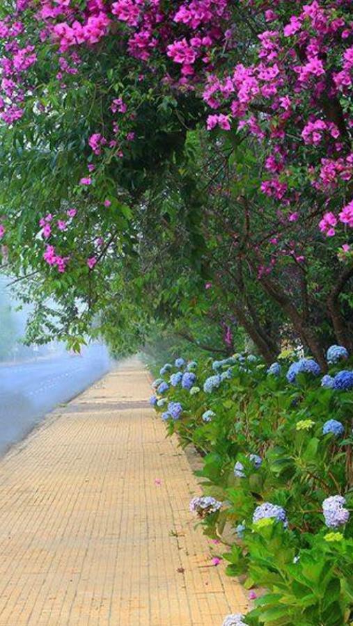 דה לאט Hostel Phuong Nga מראה חיצוני תמונה
