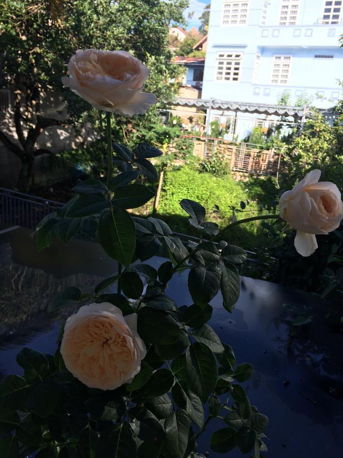 דה לאט Hostel Phuong Nga מראה חיצוני תמונה